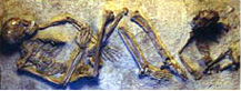 PaleolithicBurialskhul331.jpg