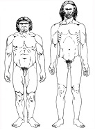 NeanderthalCroMagnon6.jpg