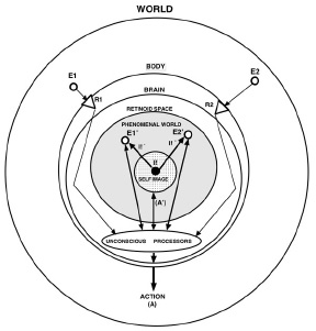 TrehubFigure1.jpg