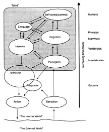 HansLiljensFigure3.jpg