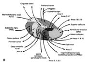 Page1028BottomAbove.jpg