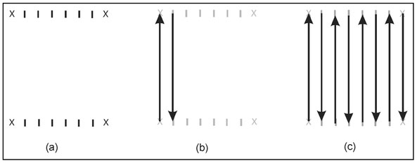 Figure 4.14. Illustration of an efficient procedure to acquire magnetic data where (a) corners of the survey area (X's) and walking lines (tick marks) are established and (b) data is acquired at fixed time intervals along each line until (c) all lines in the specified area have been traversed.