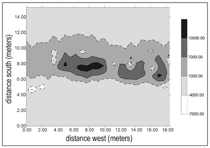 Figure 4.37. Gray-scale plot, with superimposed contour lines, of the magnetic data acquired over Area 1.