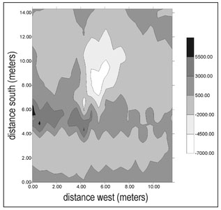 Figure 4.39. Gray-scale plot, with superimposed contour lines, of the magnetic data acquired over Area 2.