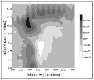 Figure 4.41. Gray-scale plot, with superimposed contour lines, of the magnetic data acquired over Area 3.