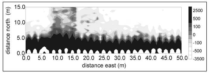 Figure 8.9. Gray-scale plot of the 15210 Hz quadrature EMI data acquired at a suspect mass grave site.