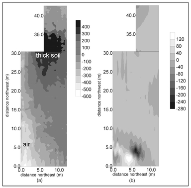 Figure 10.4. Gray-scale plots of (a) the 15210 Hz quadrature component and (b) the magnetic data at the Jesse James treasure site.