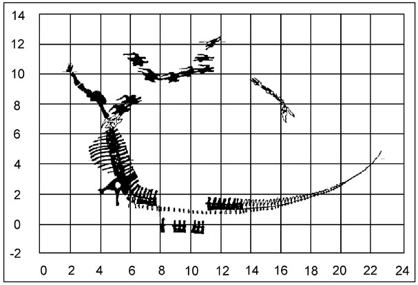 Figure 12.3. Interpretation of the Seismosaurus' skeletal position.