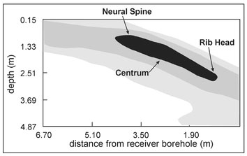 Figure 12.6. Annotated GDT image of the bone shown in Fig. 12.5 prior to excavation.