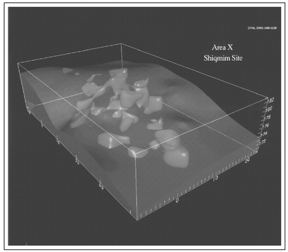 Figure 12.13. Three-dimensional GDT image showing a honeycomb of subterranean features at Shiqmim.