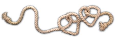 C:\Users\Kimberly\Dropbox\_KAG\Stories\WRANGLER\Dani Wyatt Wrangler\Wrangler\rope heart detail.png