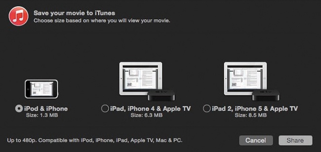 This box gives you three size choices for the movie you’re exporting, which correspond to the screen sizes of the Apple gadgets available. (Options may be dimmed if the original movie isn’t big enough to fill the corresponding screen.)