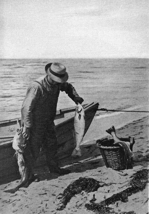 Unloading the day's catch