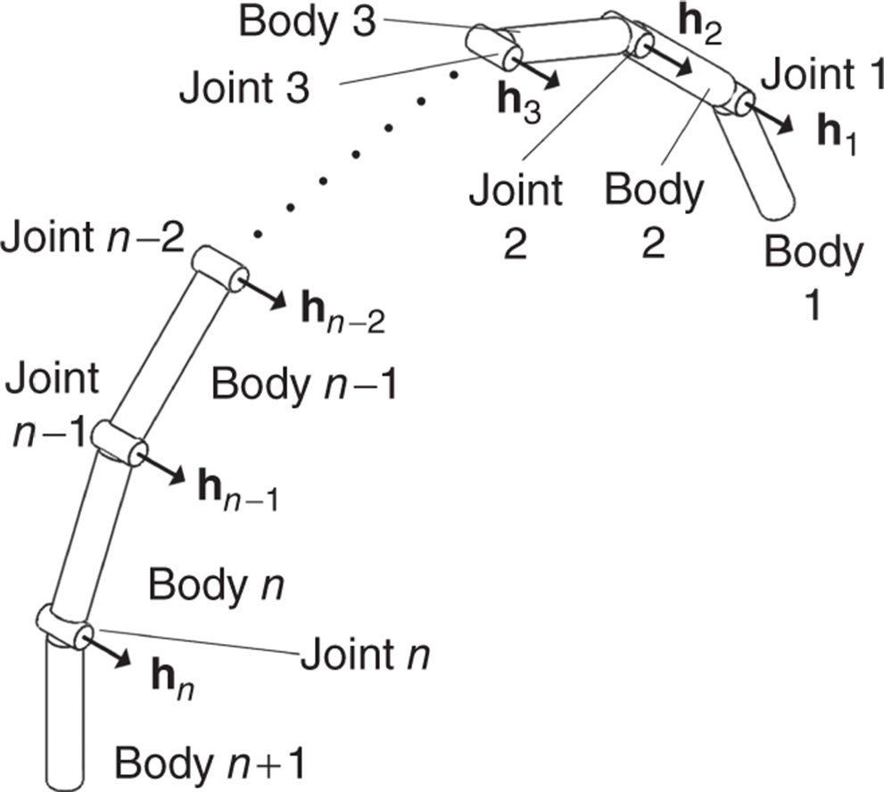 Body and joint numbering of a kinematic chain for the recursive formulation.