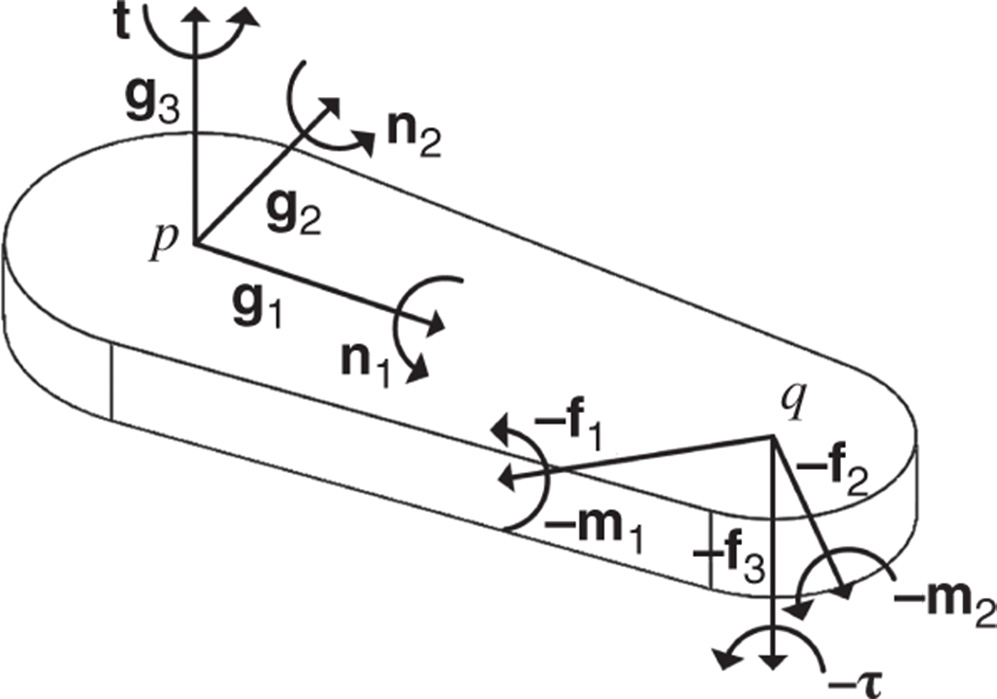 Free body diagram of the inner arm.