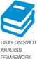 Gray On Swot Analysis Framework 