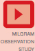 Milgram Observation Study 