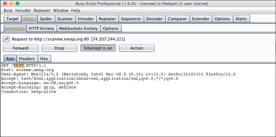 Getting started with intercepting proxies