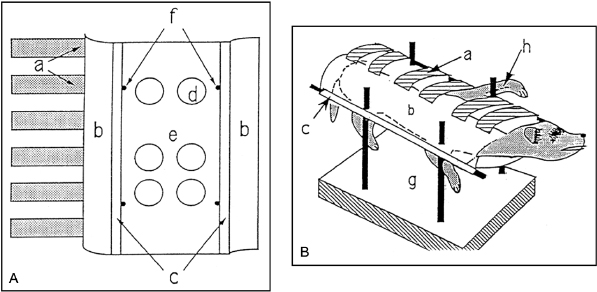 c11-fig-0006