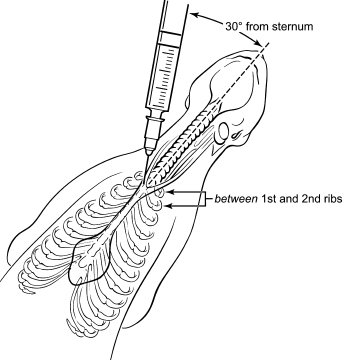 c11-fig-0012