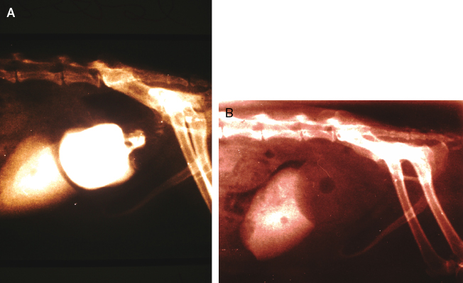 c15-fig-0009