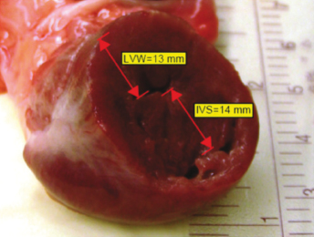 c18-fig-0001