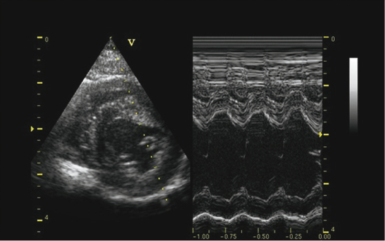 c18-fig-0002