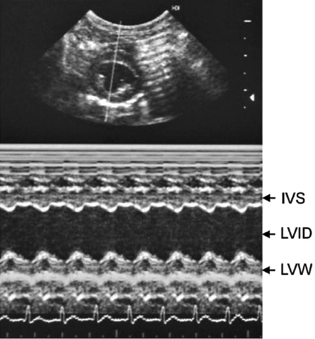 c18-fig-0011