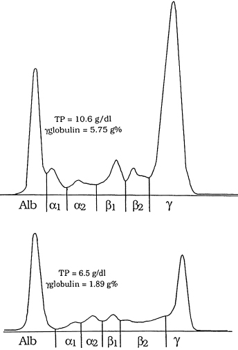 c19-fig-0001