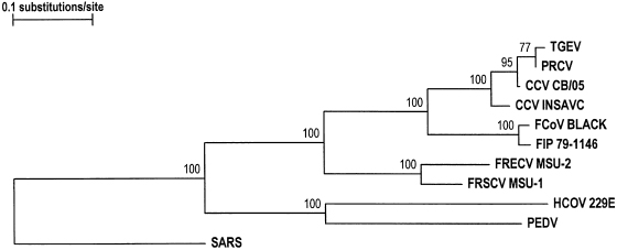 c20-fig-0027