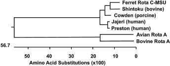 c20-fig-0039