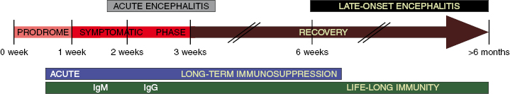 c26-fig-0001