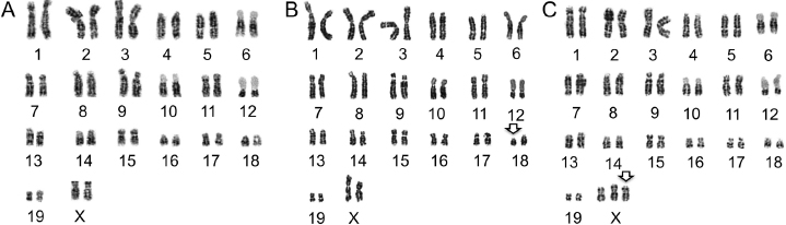 c28-fig-0003