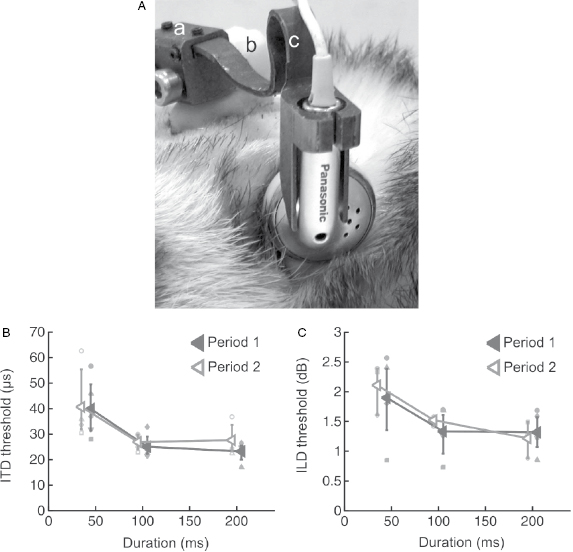 c29-fig-0003