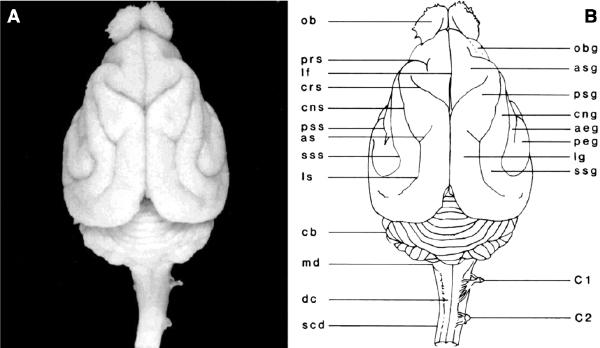 c3-fig-0001