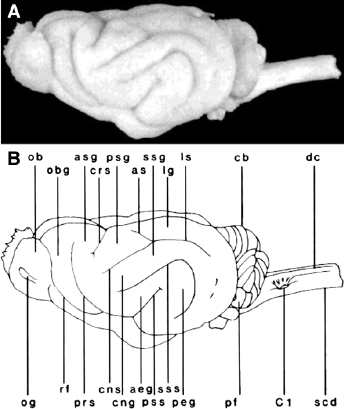 c3-fig-0003