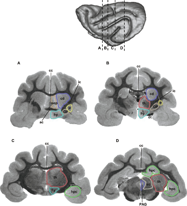 c3-fig-0006