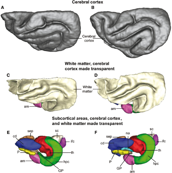 c3-fig-0008