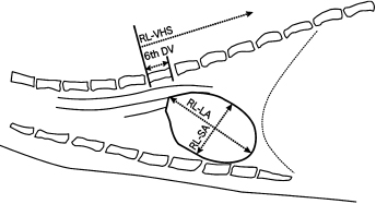 c4-fig-0002