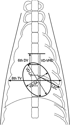 c4-fig-0003