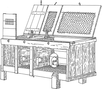 c6-fig-0001