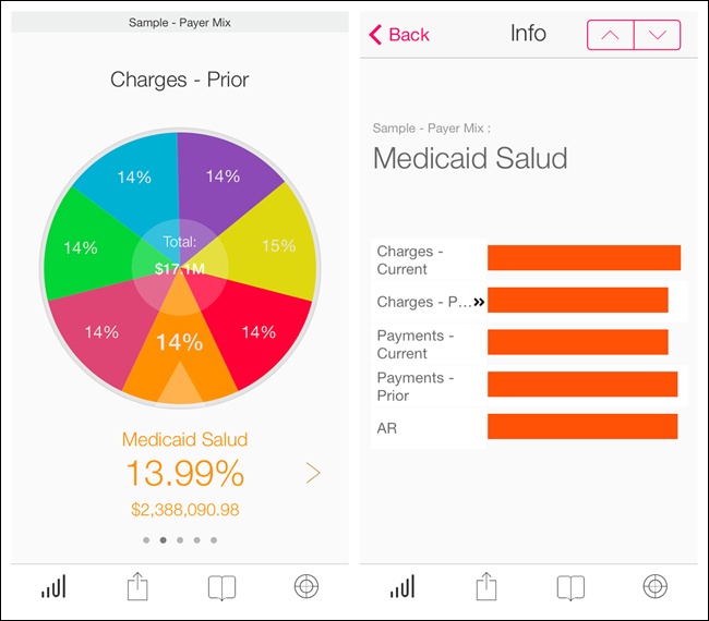 Roambi for iOS: chart consumes entire screen, so Drill Down works better than Overview plus Data