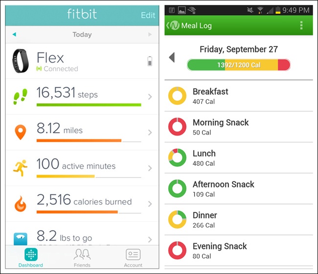 Fitbit for iOS and Noom for Android: more examples of Sparklines