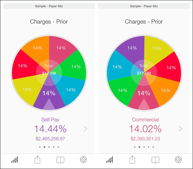 Roambi for iOS: pie chart design that works on a mobile screen ()