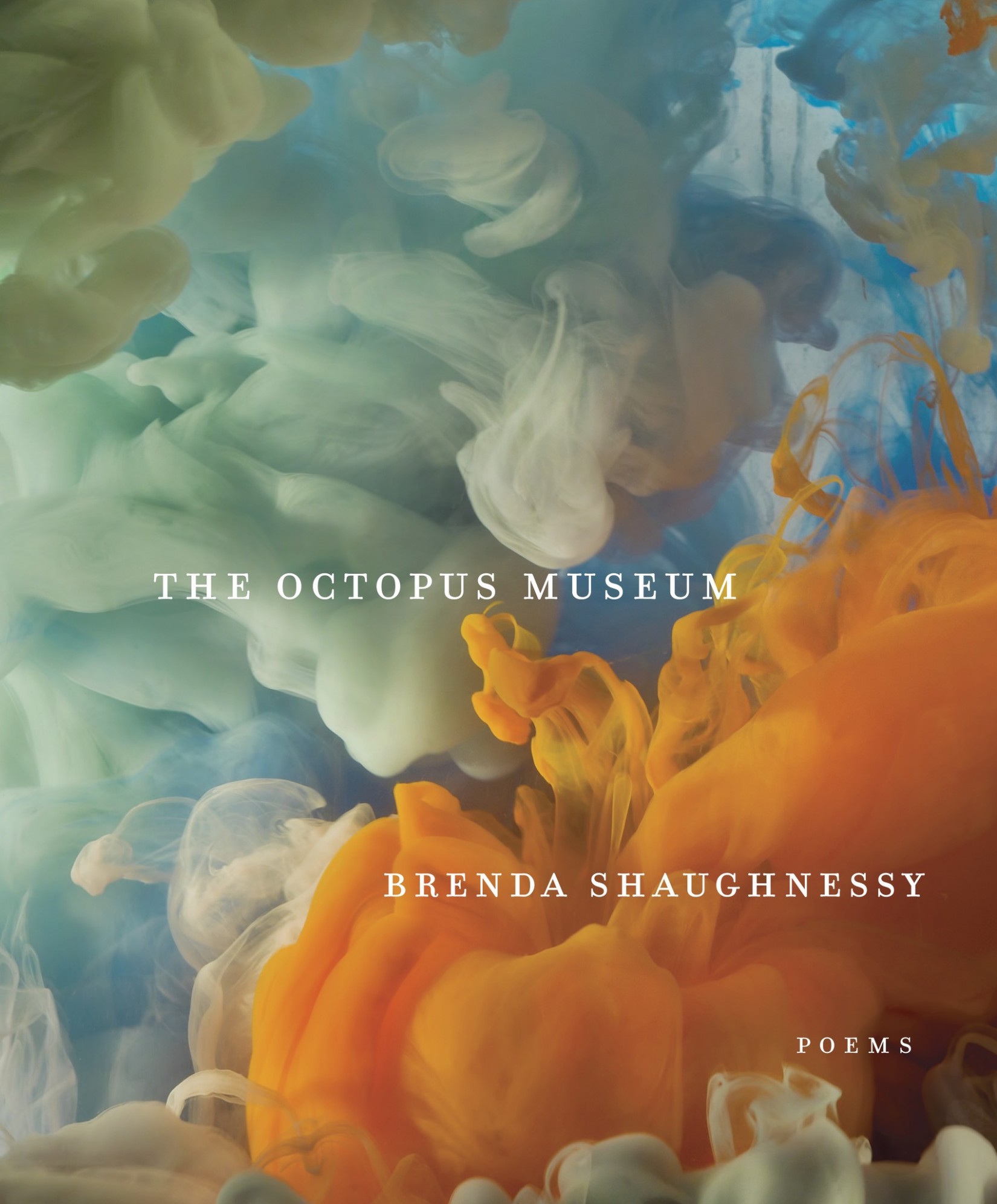 Cover for The Octopus Museum