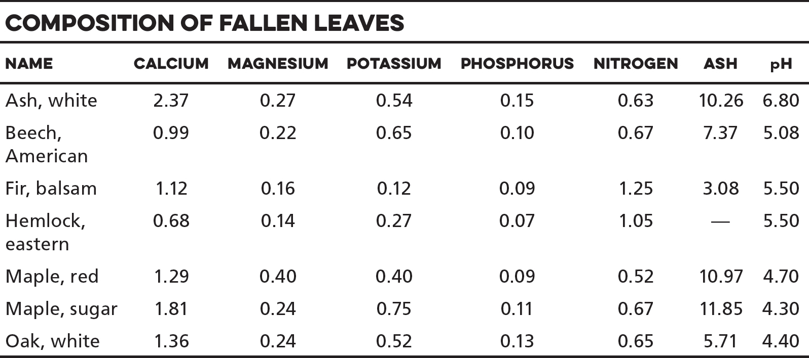 Composition of Fallen Leaves