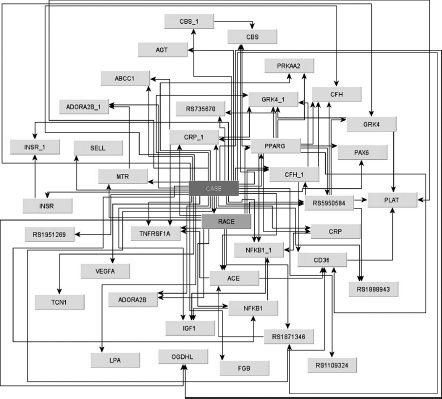 FIGURE 4.2 Bayesian network describing the joint association for thirty-seven single-letter genetic variations and race with the risk of cardioembolic stroke.