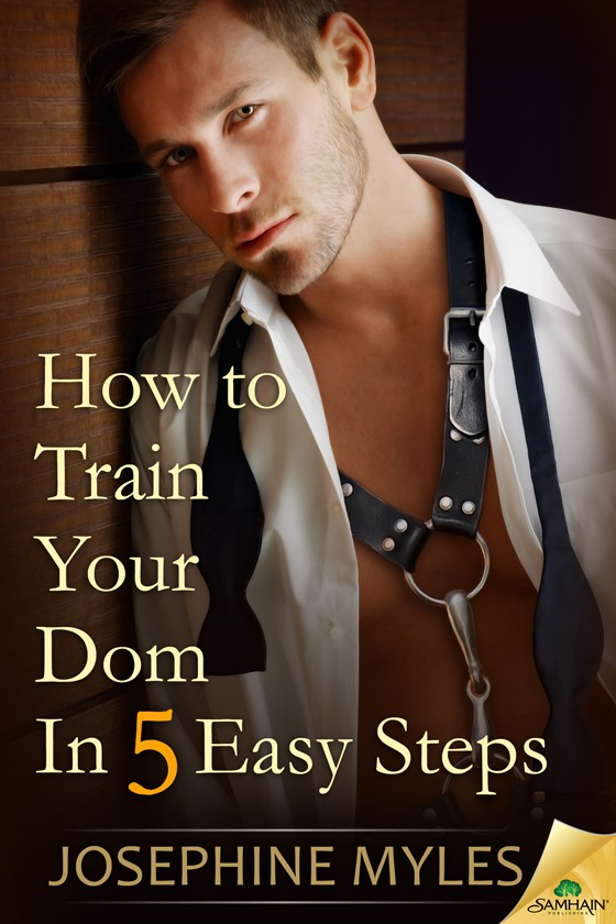 HowToTrainYourDomInFiveEasySteps.png