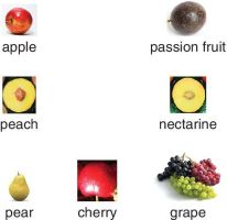 Photo of an apple, a passion fruit, a peach, a nectarine, a pear, cherry, and grapes