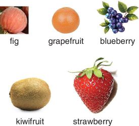 Photo of a fig, a grapefruit, blueberries, a kiwifruit, and a strawberry.